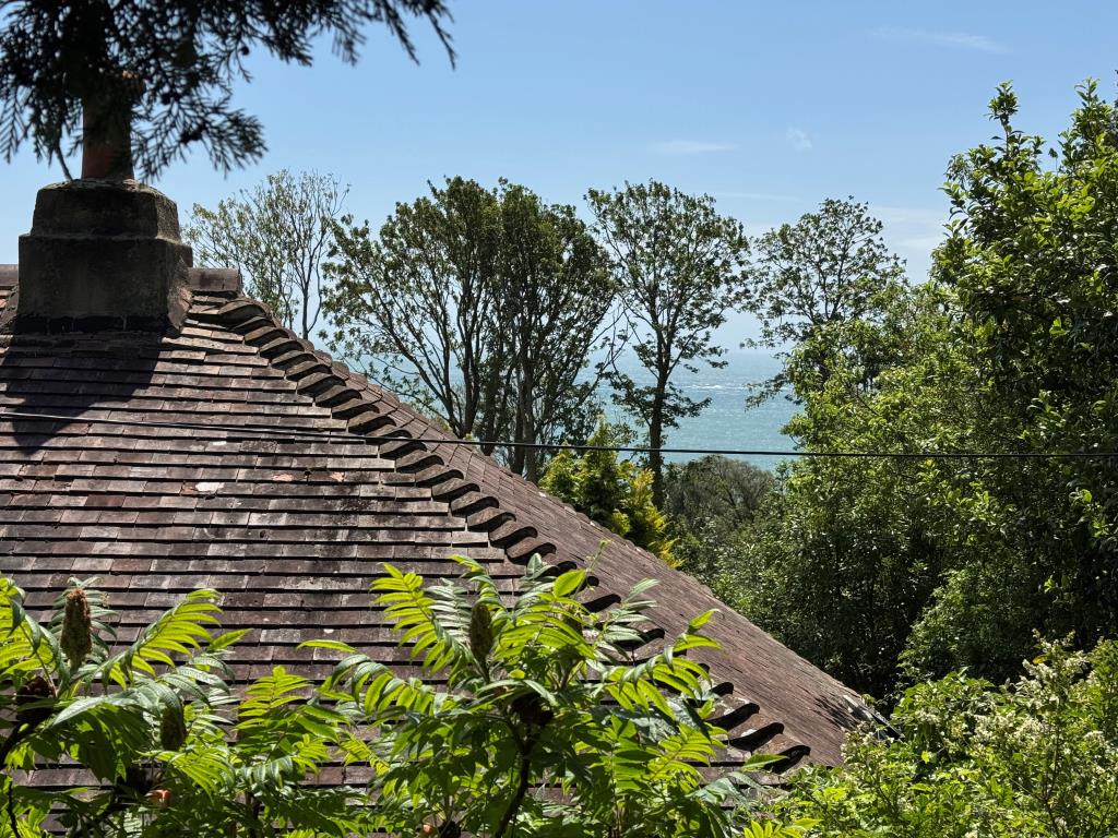 Lot: 117 - FREEHOLD DETACHED HOME WITH SIGNIFICANT STRUCTURAL DAMAGE - A View From the Front Over the Rooftop towards the Sea
